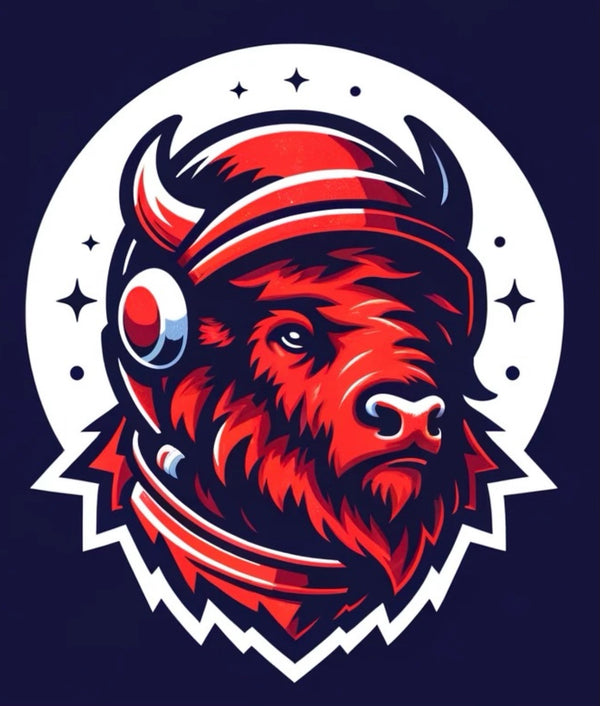 Bison Books & Comics